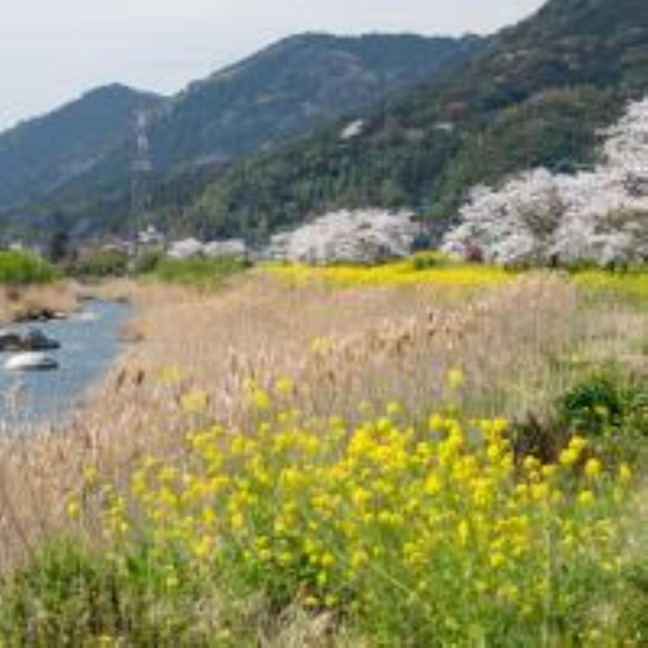 Vessel Hotel Kanda Kitakyushu Airport Εξωτερικό φωτογραφία